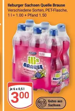 Globus Ileburger sachsen quelle brause Angebot