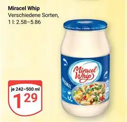 Globus Miracel whip Angebot