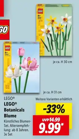Lidl Lego botanicals blume narzissen Angebot