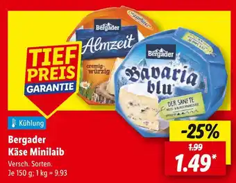 Lidl Bergader almzeit cremig-würzig Angebot
