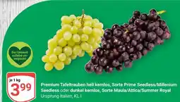 Globus Premium tafeltrauben hell kernlos Angebot