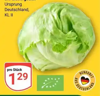 Globus Eisbergsalat Angebot
