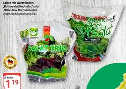 Globus Scherzer salate kopfsalat mit wurzel Angebot