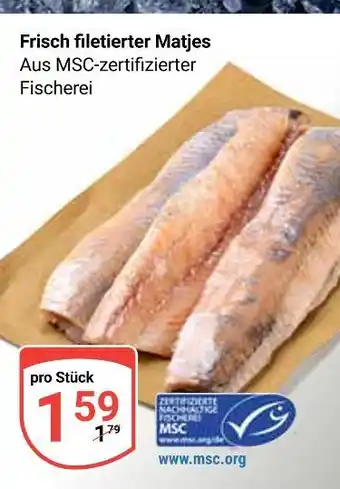 Globus Frisch filetierter matjes Angebot