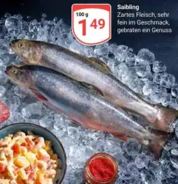 Globus Saibling Angebot