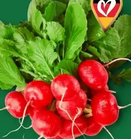 Aldi Nord Radieschen Angebot