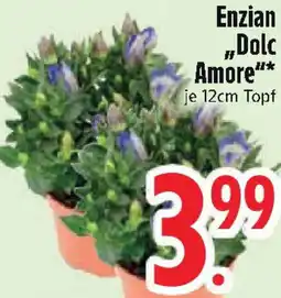 Edeka Enzian „Dolc Amore" Angebot