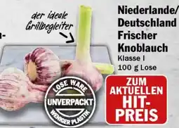 HIT Niederlande/ Deutschland Frischer Knoblauch Angebot