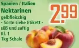 Klaas und Kock Spanien / Italien Nektarinen Angebot
