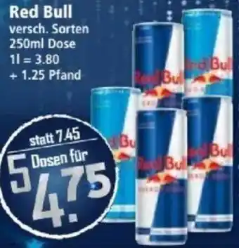 Klaas und Kock Red Bull Angebot