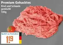 Klaas und Kock drilander Premium Gehacktes Angebot