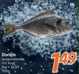 inkoop Dorade Angebot