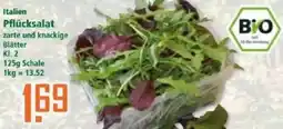 Klaas und Kock Italien Pflücksalat Angebot