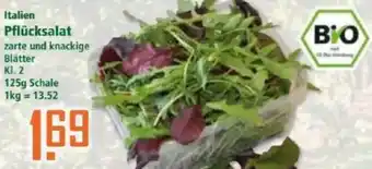 Klaas und Kock Italien Pflücksalat Angebot