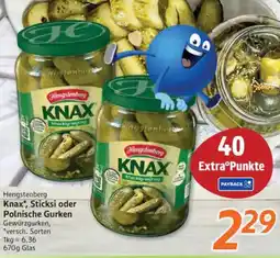 inkoop Hengstenberg Knax, Sticksi oder Polnische Gurken Angebot