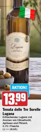 HIT Tenuta delle Tre Sorelle Lugana Angebot