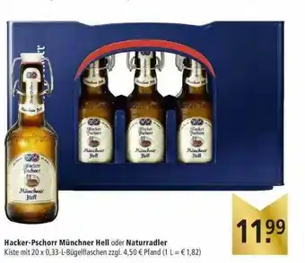 Marktkauf Hacker-pschorr Münchner Helle Oder Naturradler Angebot