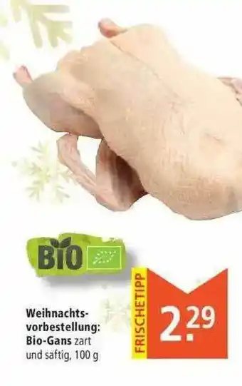 Marktkauf Weihnachtsvorbestellung: Bio-gans Angebot