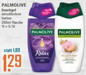 Klaas und Kock PALMOLIVE Duschgel Angebot