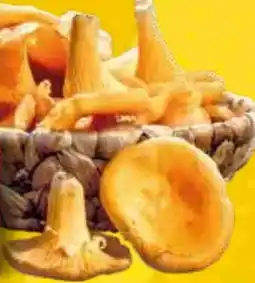 EDEKA Bandelt Pfifferlinge Angebot