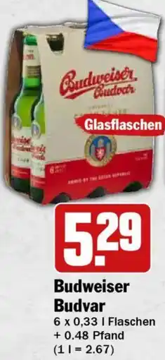 HIT Budweiser Budvar Angebot