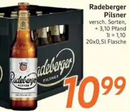 inkoop Radeberger Pilsner Angebot