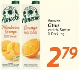 inkoop Amecke Citrus Angebot