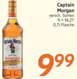 inkoop Captain Morgan Angebot