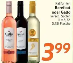 inkoop Kalifornien Barefoot oder Gallo Angebot
