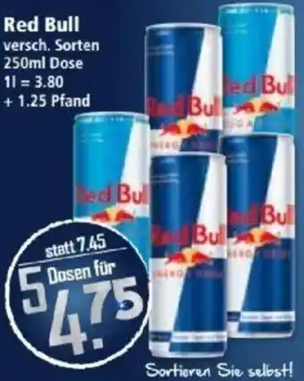 Klaas und Kock Red Bull Angebot