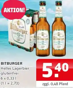 Getränke Quelle BITBURGER Helles Lagerbier Angebot