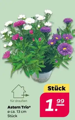 NETTO Astern trio Angebot
