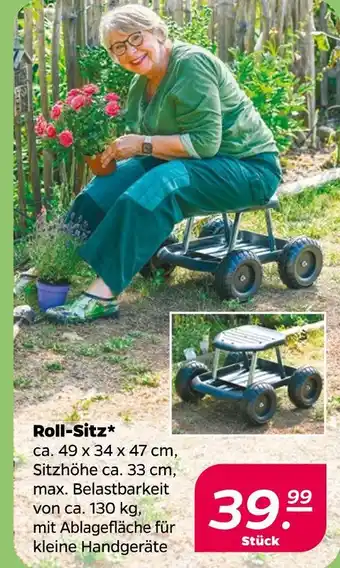 NETTO Roll-sitz Angebot