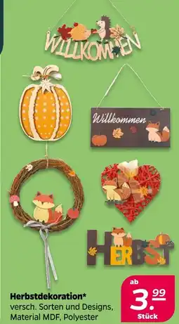 NETTO Herbstdekoration Angebot