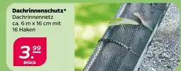 NETTO Dachrinnenschutz Angebot