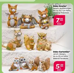 NETTO Deko-drache Angebot