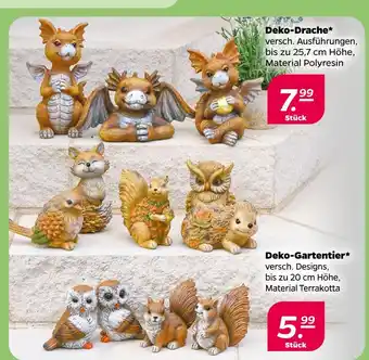 NETTO Deko-drache Angebot