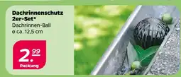 NETTO Dachrinnenschutz 2er-set Angebot