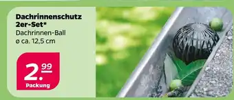 NETTO Dachrinnenschutz 2er-set Angebot