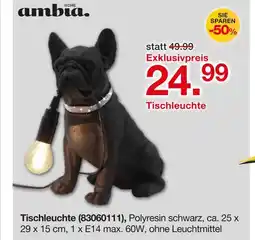 Möbelzentrum Pforzheim Ambia home tischleuchte Angebot
