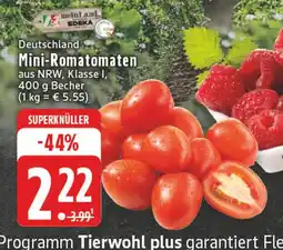 E-Center Meinland edeka mini-romatomaten Angebot