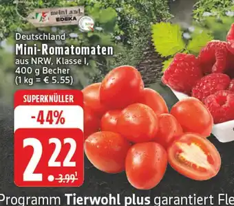 E-Center Meinland edeka mini-romatomaten Angebot