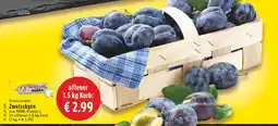 E-Center Meinland zwetschgen Angebot