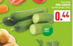 Marktkauf Mini-gurken Angebot