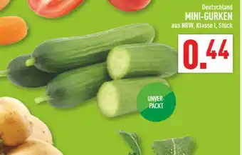 Marktkauf Mini-gurken Angebot