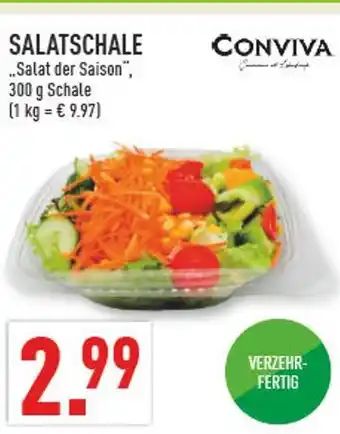 Marktkauf Salatschale „salat der saison“ Angebot