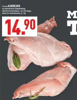 Marktkauf Frische kaninchen Angebot