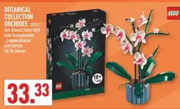 Marktkauf Lego botanical collection orchidee Angebot