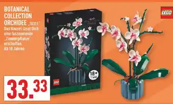 Marktkauf Lego botanical collection orchidee Angebot