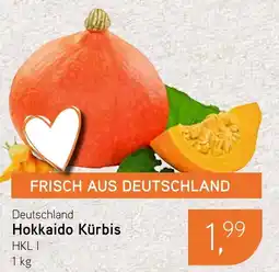 Dornseifer Deutschland Hokkaido Kürbis Angebot